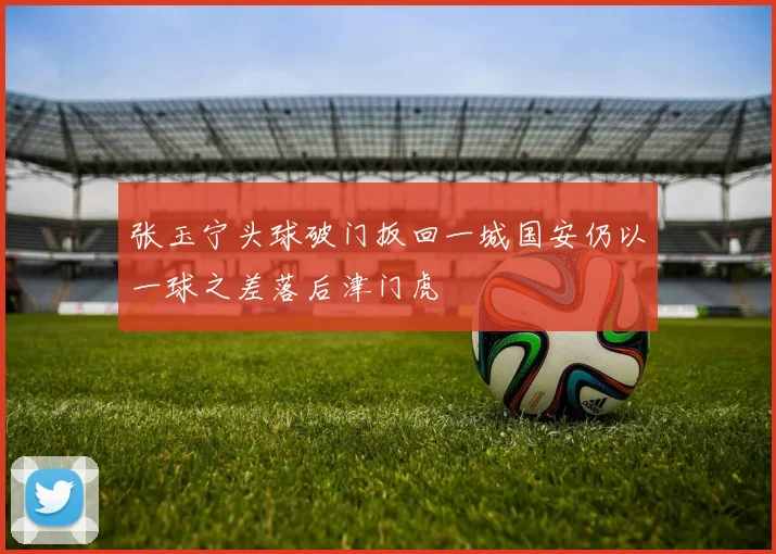 张玉宁头球破门扳回一城国安仍以一球之差落后津门虎