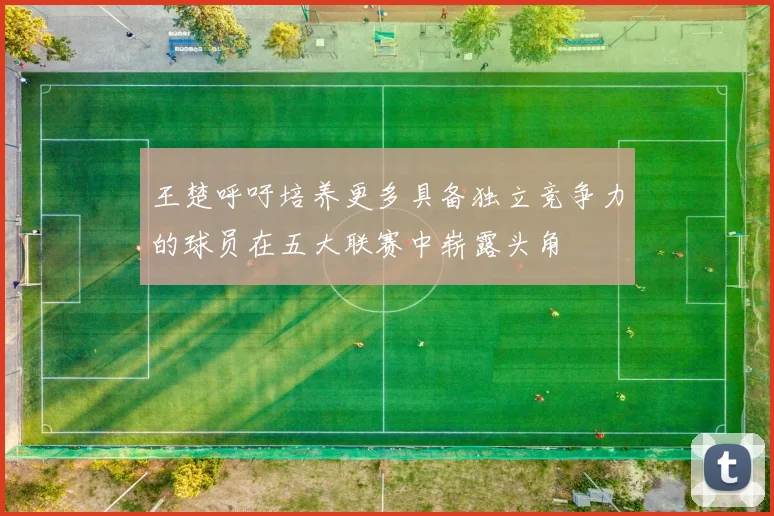 王楚呼吁培养更多具备独立竞争力的球员在五大联赛中崭露头角